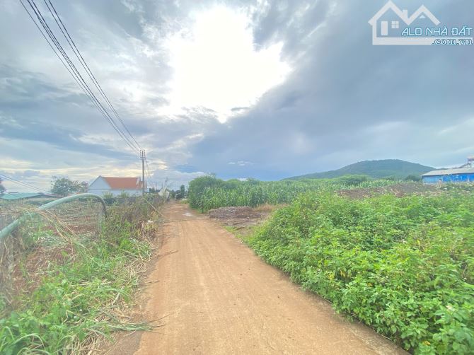 Đất Liên Hiệp Đức Trọng - Cách tuyến tránh QL27 chỉ 600m, Gần sân bay Liên Khương - 4