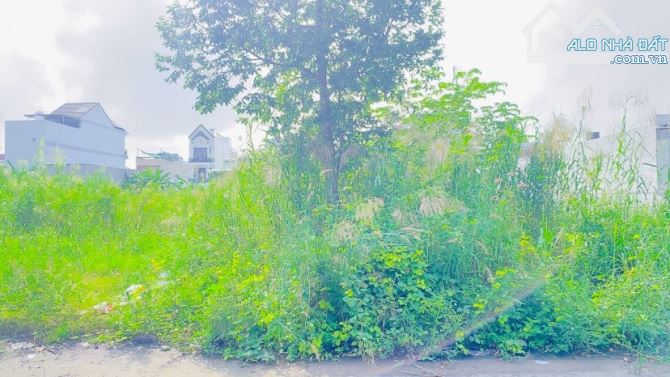 Cho thuê đất 380 m2 đường Lý Thái Tổ khu Hưng Phú 1 - 5