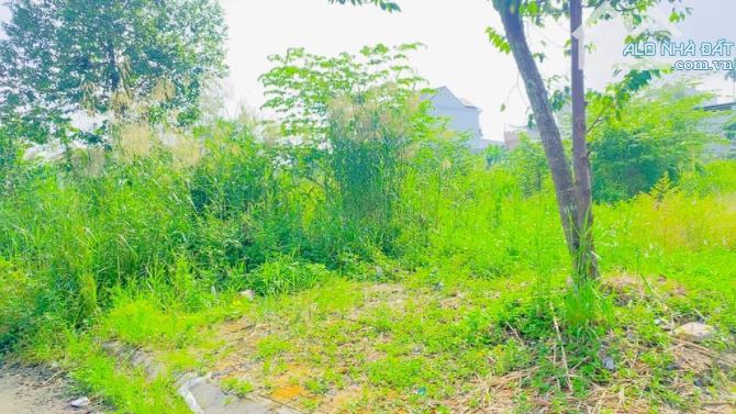 Cho thuê đất 380 m2 đường Lý Thái Tổ khu Hưng Phú 1 - 7