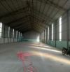 Cho thuê 2 kho VIP 1100m2 và 1300m2 ngay mặt tiền đường Lê Đình Cẩn, P. Tân Tạo, Bình Tân