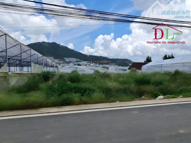 Bán lô đất biệt lập 650m2  Thái Phiên P12 Đà Lạt giá đầu tư .