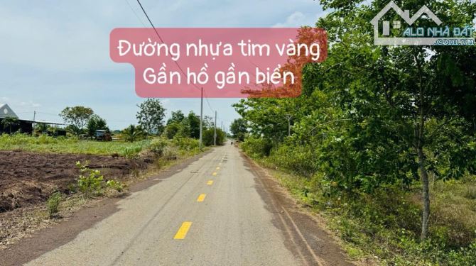 👉CÁCH TỈNH LỘ 997 100M- mặt tiền nhựa Phước Long Thọ - Đất Đỏ - BRVT