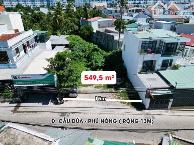 🎊Cần Bán Đất nền 549,5m2 ngang 15m Mặt tiền đường Cầu Dứa – Phú Nông - 1