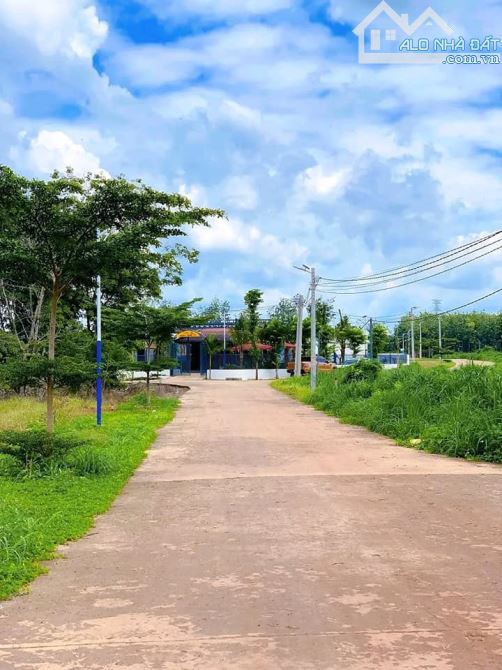 1000m2 đất vườn View Suối sẵn 100m2 thổ cư huyện Đồng Phú giá 340tr - 2