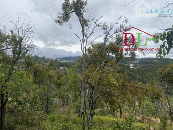 3749 🏞⛺️🏡 ĐẤT XÂY DỰNG ĐƯỜNG BA THÁNG TƯ - VIEW RỪNG THÔNG - VỊ TRÍ CỬA NGÕ TRUNG TÂM ĐL - 2