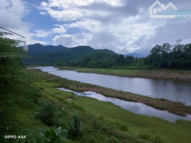 BÁN ĐẤT DIỆN TÍCH LỚN NAM ĐÔNG, LÝ TƯỞNG LÀM NHÀ VƯỜN, THƯ GIÃN CUỐI TUẦN CHO GIA ĐÌNH - 2