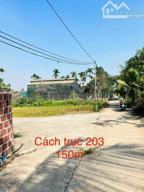 ‼️‼️ Duy nhất lô Lâm Động ✅ 🚘 đánh võng tận đất 👉 giá chỉ hơn 1 tỷ - 2