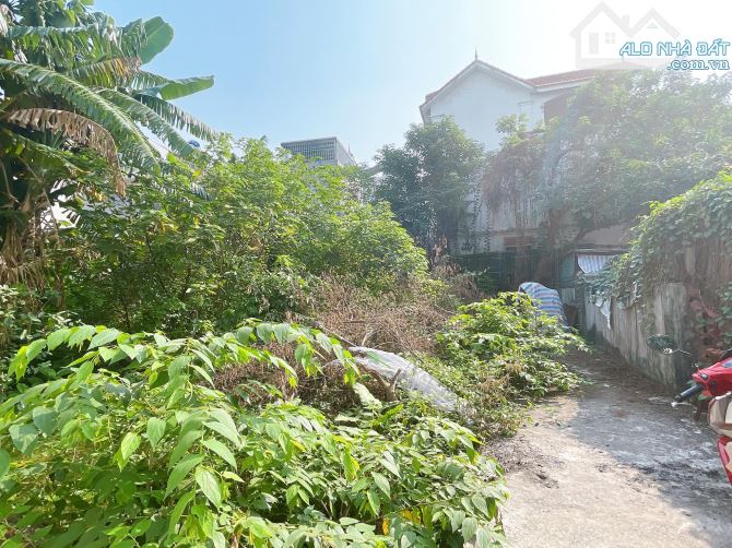 BÁN ĐẤT GIÁP NHỊ . MUA NHANH CỰC HIẾM. 33M GIÁ 950 TRIỆU . GẦN TRƯỜNG HỌC - 3