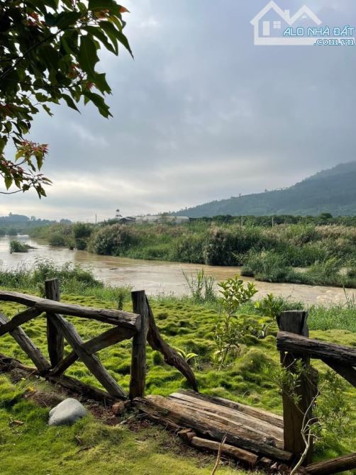 đất đường nhựa mặt chính view sông! Gần nhà hàng sông quê 💥Khu dân cư nghỉ dưỡng riêng bi - 6