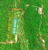 ✈️ Bán 1000m2 đất Tân Châu, Di Linh, Lâm Đồng .