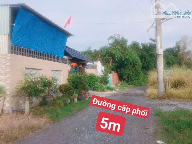 Bán Đất 7x24m Phước Hải - Hẻm Ô Tô - View Núi Đẹp - Phù Hợp Second Home - 3