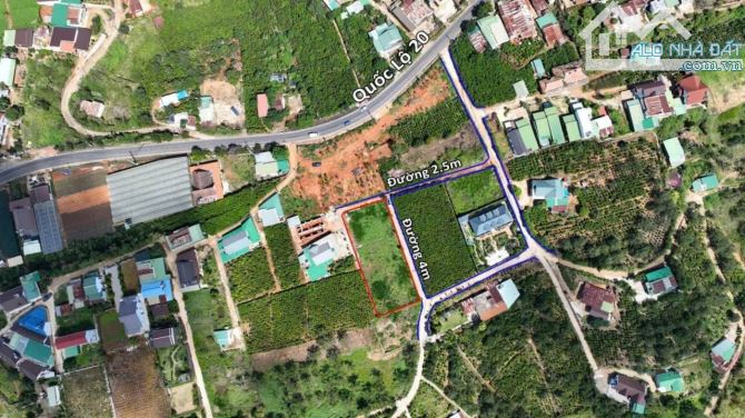 1523m2 có sẵn 600m2 thổ cư tại Xuân Thọ- Đà Lạt, cách Ql 50m, , view rừng thông - 3