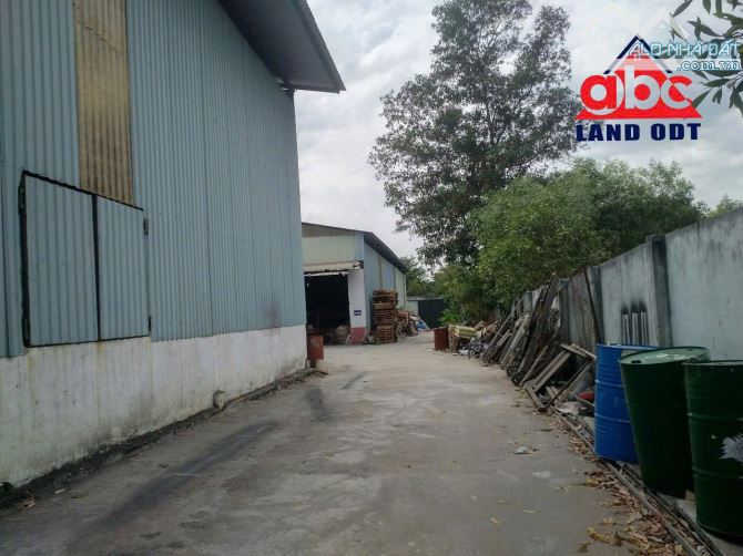 Cho thuê xưởng 3300m2 An Phước - Long Thành. Đồng Nai Giá chỉ 60tr/ tháng - 3