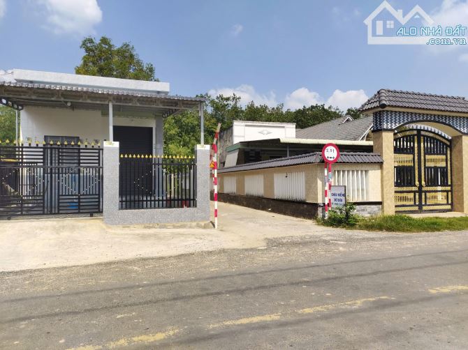 Chỉ ngộp bán gấp miếng đát ngay Bàu Đồn, Gò Dầu, 335tr hết đất