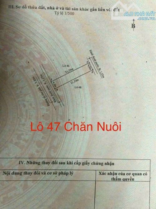 Chuyển nhượn.g lô đất số 47 tại Khu Chăn Nuôi- Núi ĐÈO   👉 Diện tích 86m2