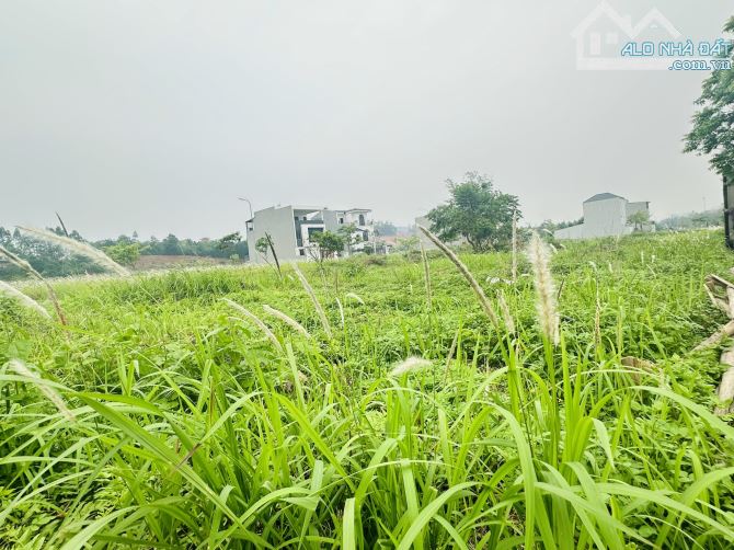 Bán đất biệt thự song lập 150m2 khu đô thị Park Hil Thành Công, Vĩnh Yên. - 1