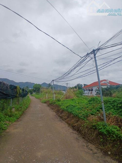 Bán đất diên toàn gần chợ đông dinh - 1