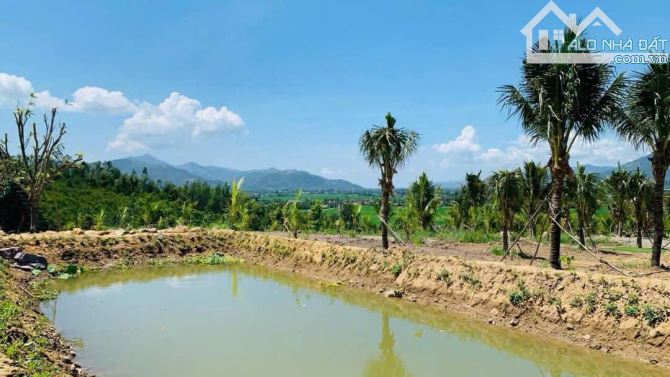 Cần chuyển nhượng FARM STAY nghỉ dưỡng đã hoàn thiện View Đỉnh Đồi, Cách Biển 14km - 13