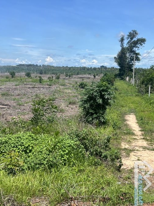 Bán Đất MT Lê Quang Định. Dẫn Xuống Biển Quy Hoạch Đất Ở. Cách Biển 500m. Giá - 2