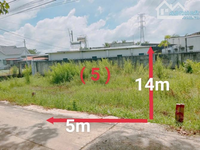 Chỉ ngộp bán gấp miếng đát ngay Bàu Đồn, Gò Dầu, 335tr hết đất - 2