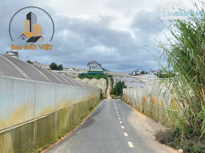 BÁN ĐẤT XÂY DỰNG ĐƯỜNG TRẦN QUANG KHẢI, ĐÀ LẠT - 13.5 TỶ - 2