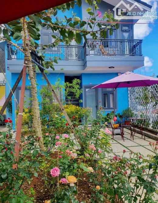 BÁN KHỐI 3 HOMESTAY ĐƯỜNG VẠN HẠNH P.8 ĐÀ LẠT - 8