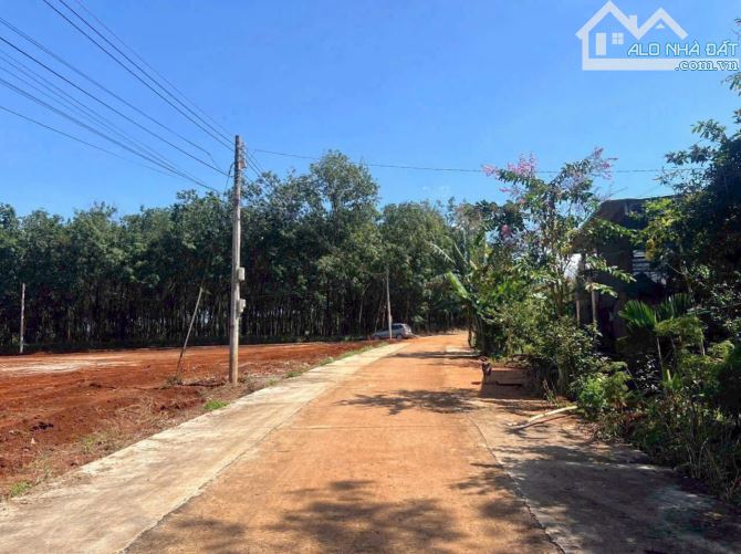 Đất Trung tâm Hành chinh Huyện Phú Riềng,sát bên nhà máy VeDan 230m2 100m thổ cư