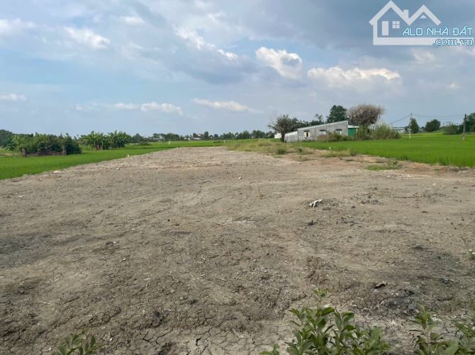 CẦN BÁN 1200M2 ĐẤT LÀM NHÀ VƯỜN, SỔ HỒNG RIÊNG, GẦN QUỐC LỘ 50