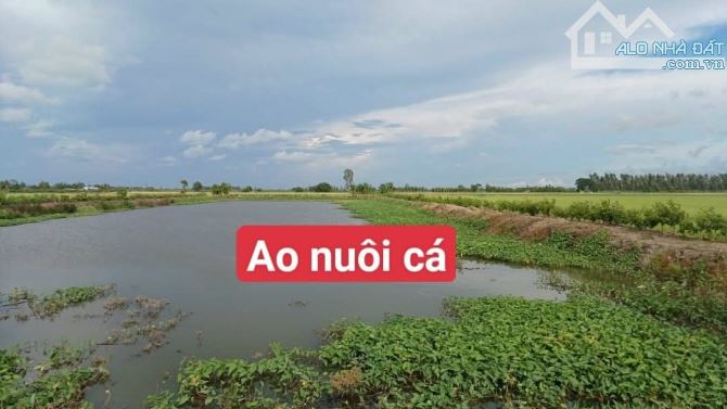 Bán 10 công đất nghỉ dưỡng View sông huyện Vĩnh Thạnh Cần Thơ - 10