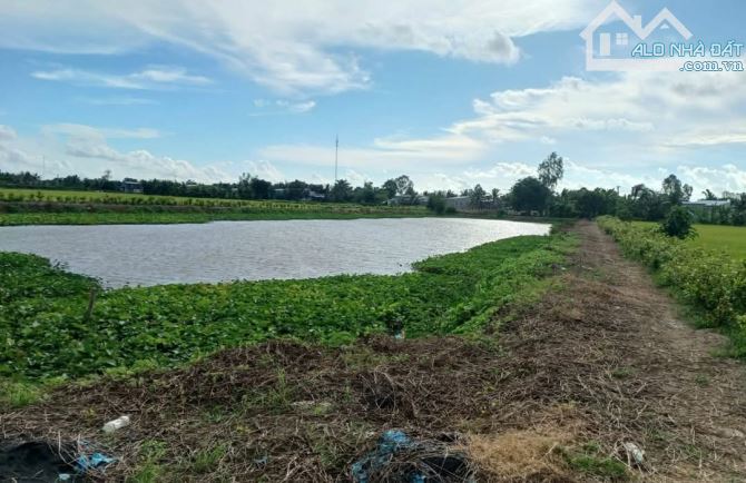 Bán 10 công đất nghỉ dưỡng View sông huyện Vĩnh Thạnh Cần Thơ - 11