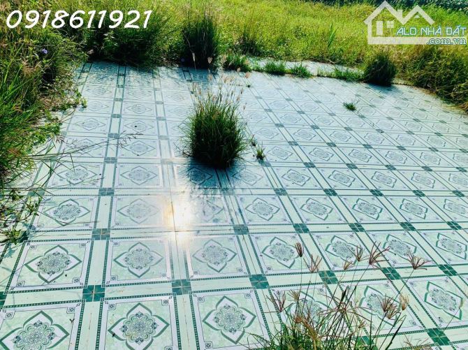 BÁN ĐẤT THỔ CƯ 150M2 GIÁ HỜI - AN LỤC LONG, CHÂU THÀNH, LONG AN - SỔ HỒNG CHÍNH CHỦ - - 1