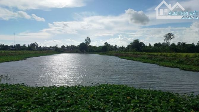 Bán 10 công đất nghỉ dưỡng View sông huyện Vĩnh Thạnh Cần Thơ - 12