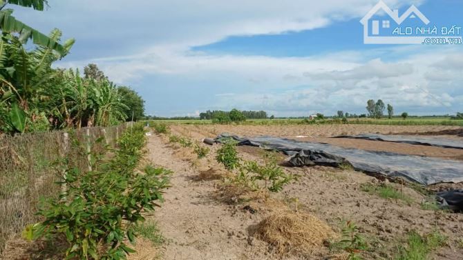 Bán 10 công đất nghỉ dưỡng View sông huyện Vĩnh Thạnh Cần Thơ - 14