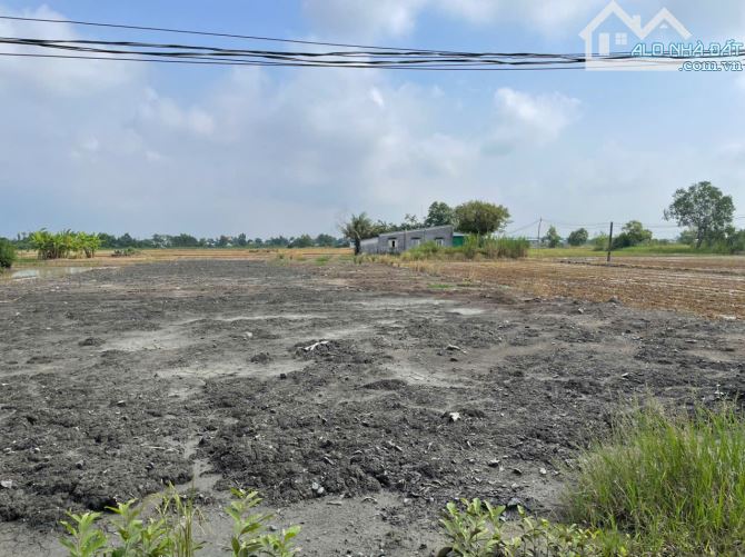 CẦN BÁN 1200M2 ĐẤT LÀM NHÀ VƯỜN, SỔ HỒNG RIÊNG, GẦN QUỐC LỘ 50 - 2