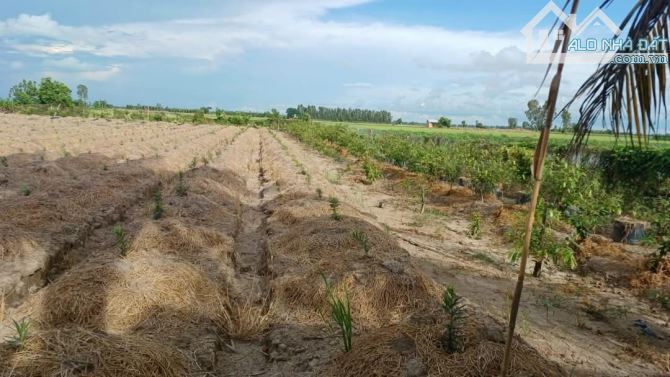Bán 10 công đất nghỉ dưỡng View sông huyện Vĩnh Thạnh Cần Thơ - 3