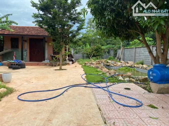 Đất Sào 1500m2 ( có 75m đất ở) mặt tiền đường nhựa 89 Thuộc Long Phước TP _BR_VT: - 3