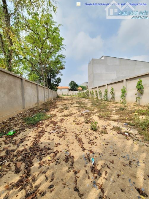 Bán đất biệt thự 9.2x65m, hẻm thông (rộng 8m) Trương Văn Vĩnh p.Tân Bình - 5