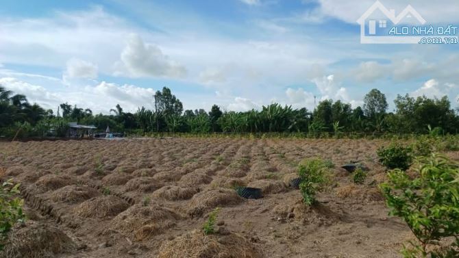 Bán 10 công đất nghỉ dưỡng View sông huyện Vĩnh Thạnh Cần Thơ - 7