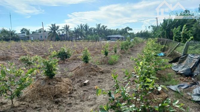 Bán 10 công đất nghỉ dưỡng View sông huyện Vĩnh Thạnh Cần Thơ - 9