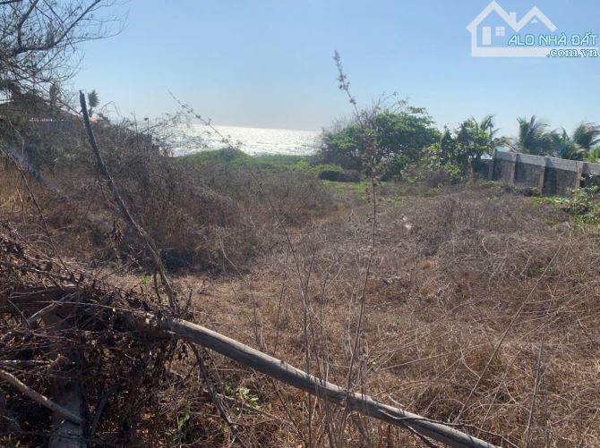 Bán lô mặt tiền lạc long quân và mặt biển tiến thành giá cự rẻ