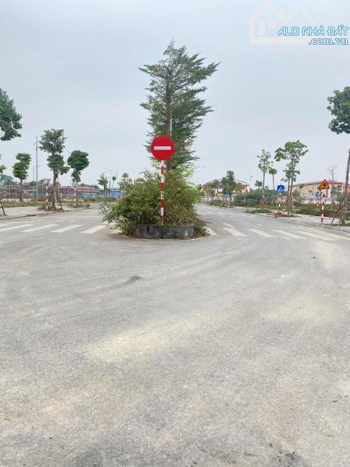 BÁN ĐẤT ĐẤU GIÁ THỤY LÂM, ĐÔNG ANH, HN.