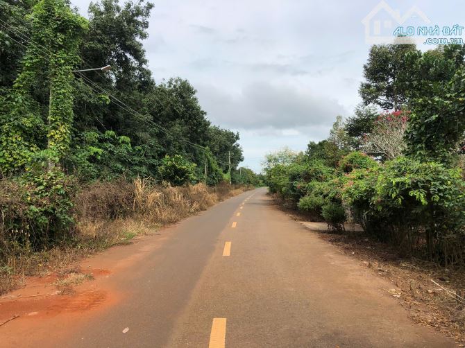 Đất Sào mặt tiền đường nhựa 90 Thuộc Long Phước TP _BR_VT:  _ TDT:1127 m2 ( có 80m2 đất ở