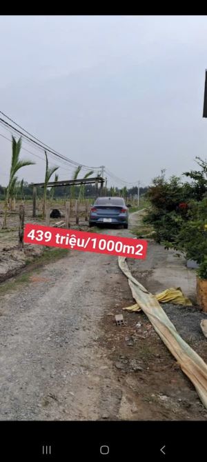 1000m2 đất lúa làm vườn đường ôtô châu thành_long an_ 439 triệu rẻ đất sạch đẹp