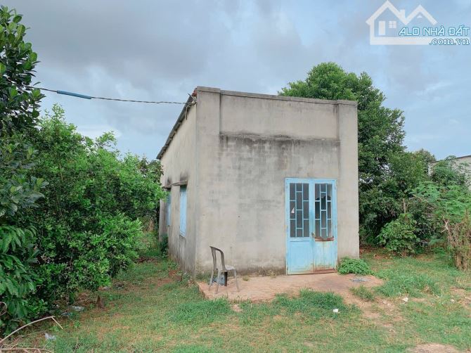 Bán khoảng 4 sào 4 (4435m2) đất Láng Lớn, huyện Châu Đức, BRVT. - 1