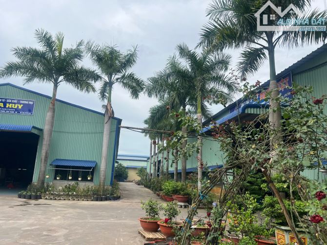 Cho thuê kho xưởng khu công nghiệp cát lái 2000 M2 - 1