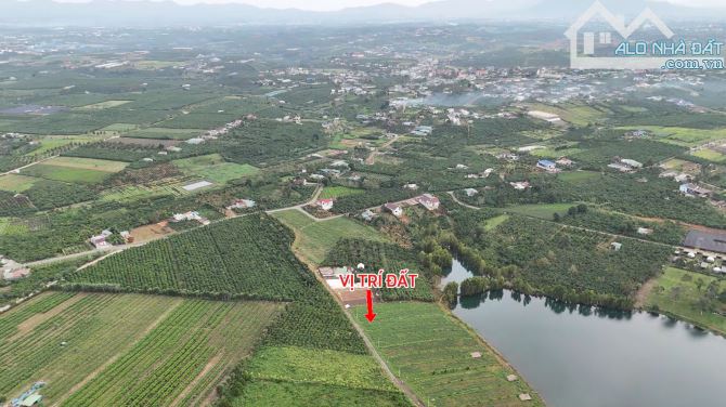 Bán đất hồ Cánh Bướm thị trấn Lộc Thắng Bảo Lâm. Đất sát hồ đẹp nhất Bảo Lộc. Hàng có 102. - 4