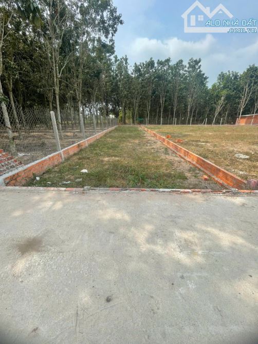 BÁN  LỖ 200 TRIỆU , ĐẤT KCN THẠNH ĐỨC , GÒ DẦU , TÂY NINH , ĐƯỜNG QH 32 M. - 2
