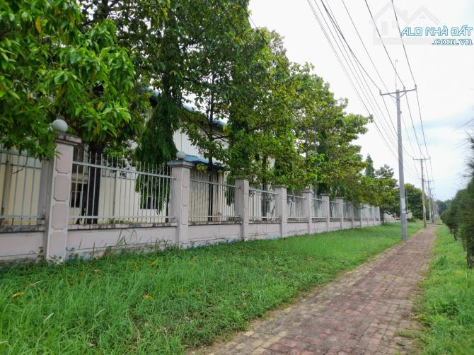 Cho thuê kho xưởng khu công nghiệp cát lái 2000 M2 - 3