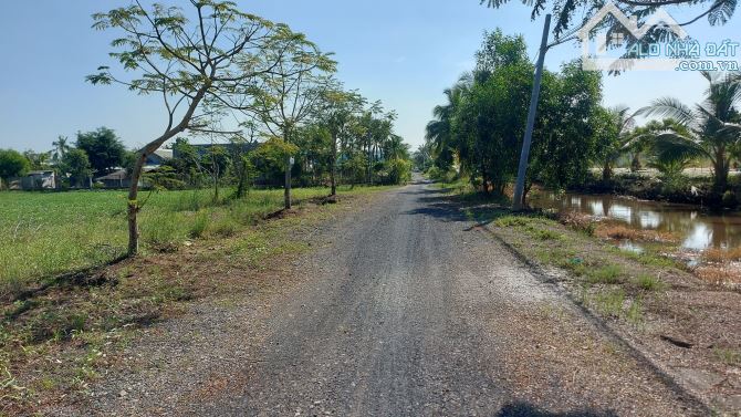 EM BÁN ĐẤT LÀM KHO XƯỞNG-NHÀ VƯỜN-ĐẦU TƯ- 490M2-GIÁ 9TR/M2- GỌI CHO EM XEM ĐẤT - 3