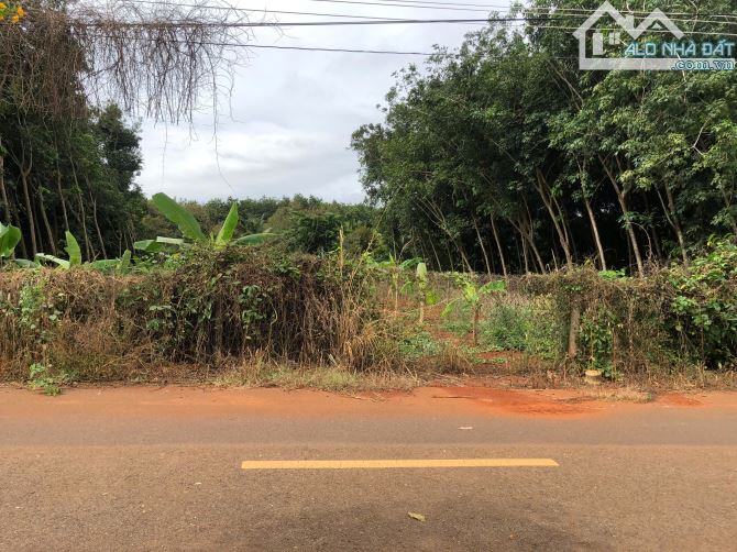 Đất Sào mặt tiền đường nhựa 90 Thuộc Long Phước TP _BR_VT:  _ TDT:1127 m2 ( có 80m2 đất ở - 3